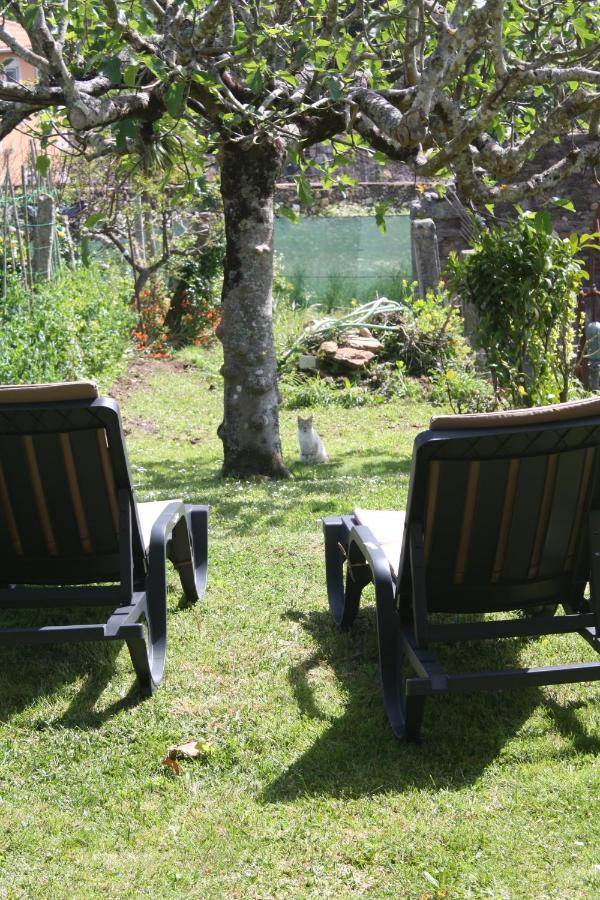Loft Caminha Apartment Luaran gambar